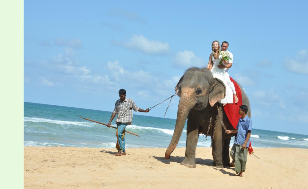 Bentota Home Stay ภายนอก รูปภาพ