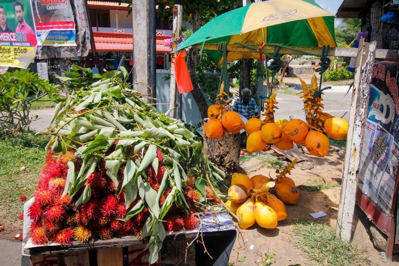 Bentota Home Stay ภายนอก รูปภาพ